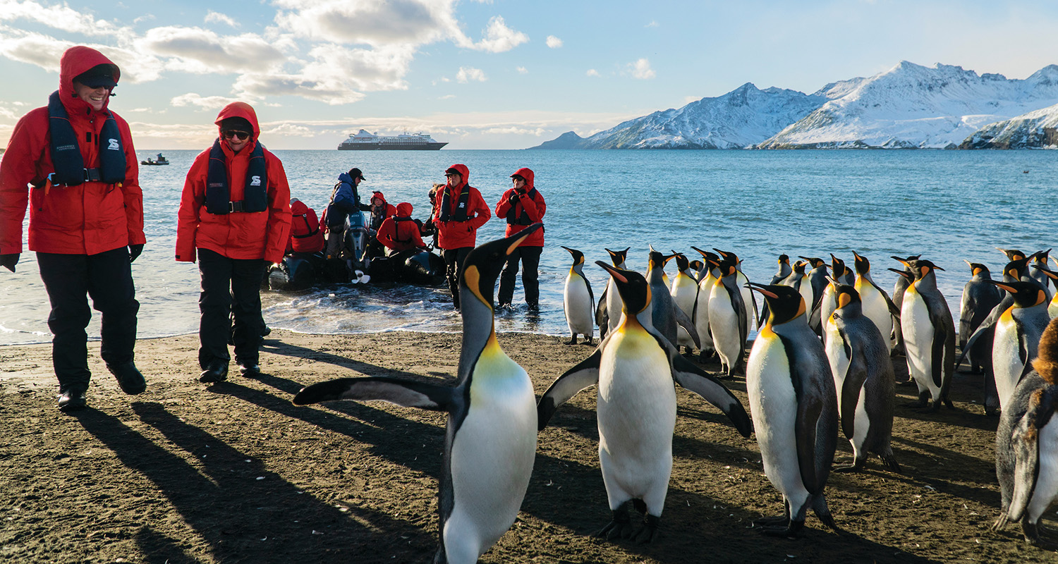 Antarktis-Expeditionen: Das ultimative Abenteuer am Ende der Welt